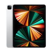 iPad Pro 12,9 (5 Gen — 2021)